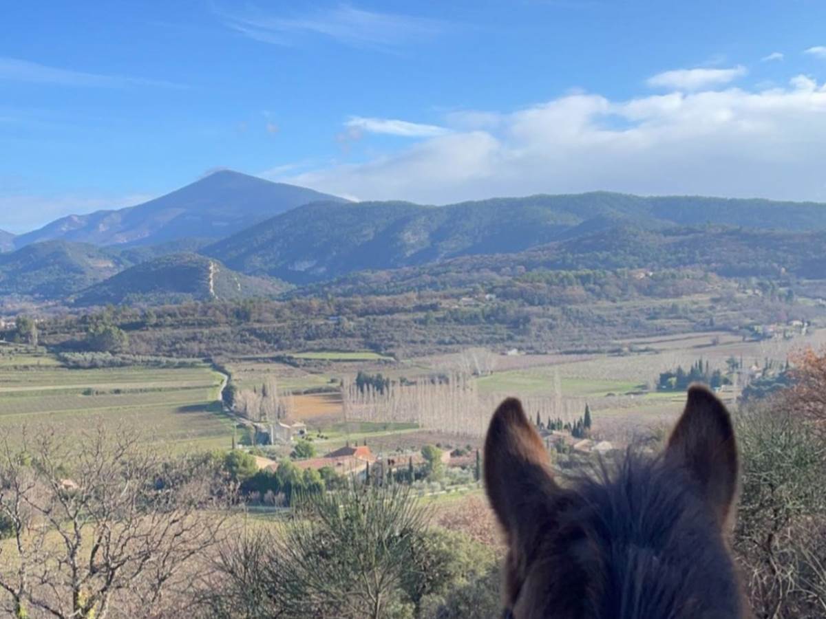 Vue du Ventoux