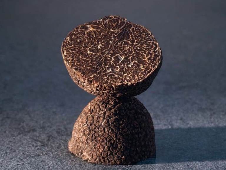 Truffe